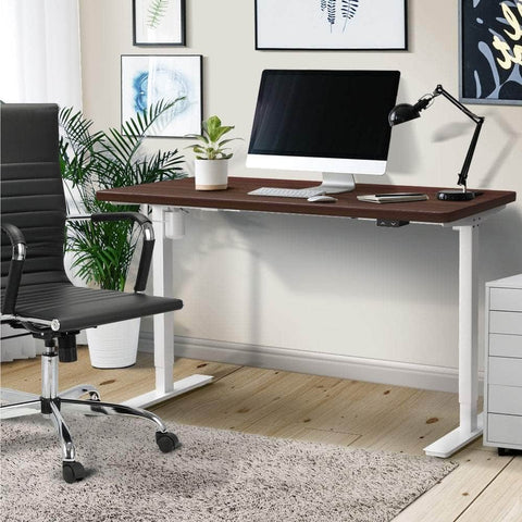 Electric Standing Desk Single Motor Height Adjustable Sit Stand Table White and Walnut 150cm