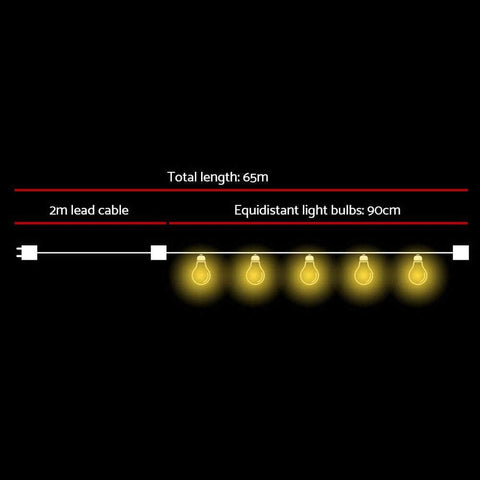 65M Led Festoon String Lights For Outdoor Events
