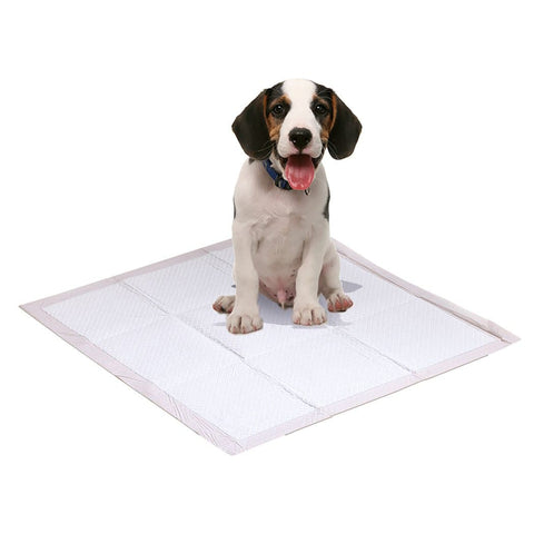 100 Pcs 60X60 Cm Pet Puppy Dog Toilet Training Pads