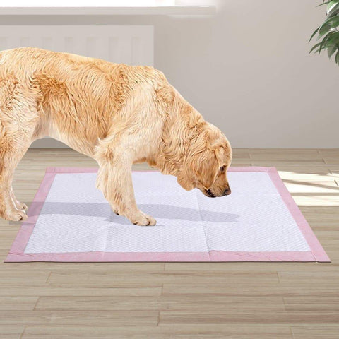 pet products 100 Pcs 60x60 cm Pet Puppy Toilet Training Pads Absorbent Lavender Scent