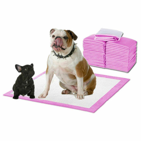 pet products 400pc 60x60cm Puppy Pet Dog Indoor Cat Toilet Training Pads Absorbent Pink
