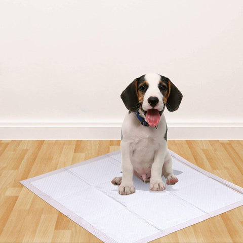 50 Pcs 60X60 Cm Pet Puppy Dog Toilet Training Pads
