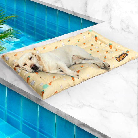 Lightweight and portable Pet Cool Gel Mat