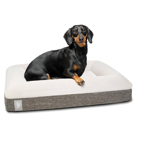 "Ortho" Orthopedic Dog Bed