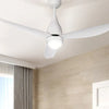 Ceiling Fans