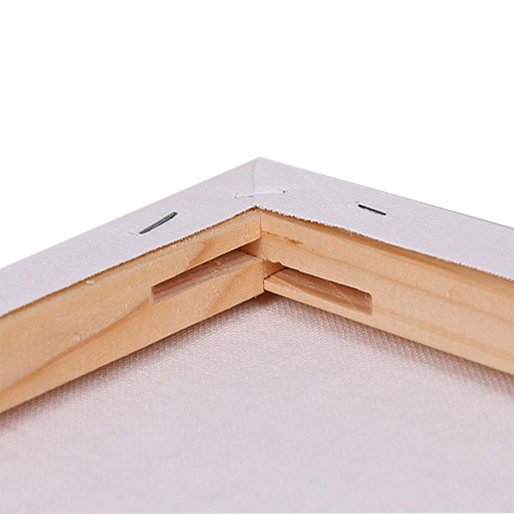 5x Artist Canvas Blank Stretched - Canvases | Art Large White Range
