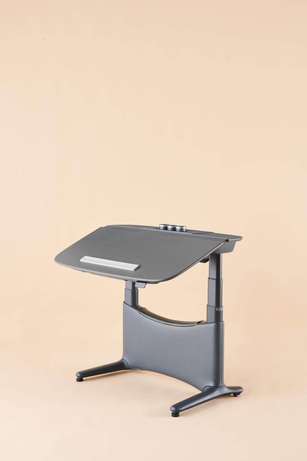 1.2M Electric Sit Stand Desk Riser
