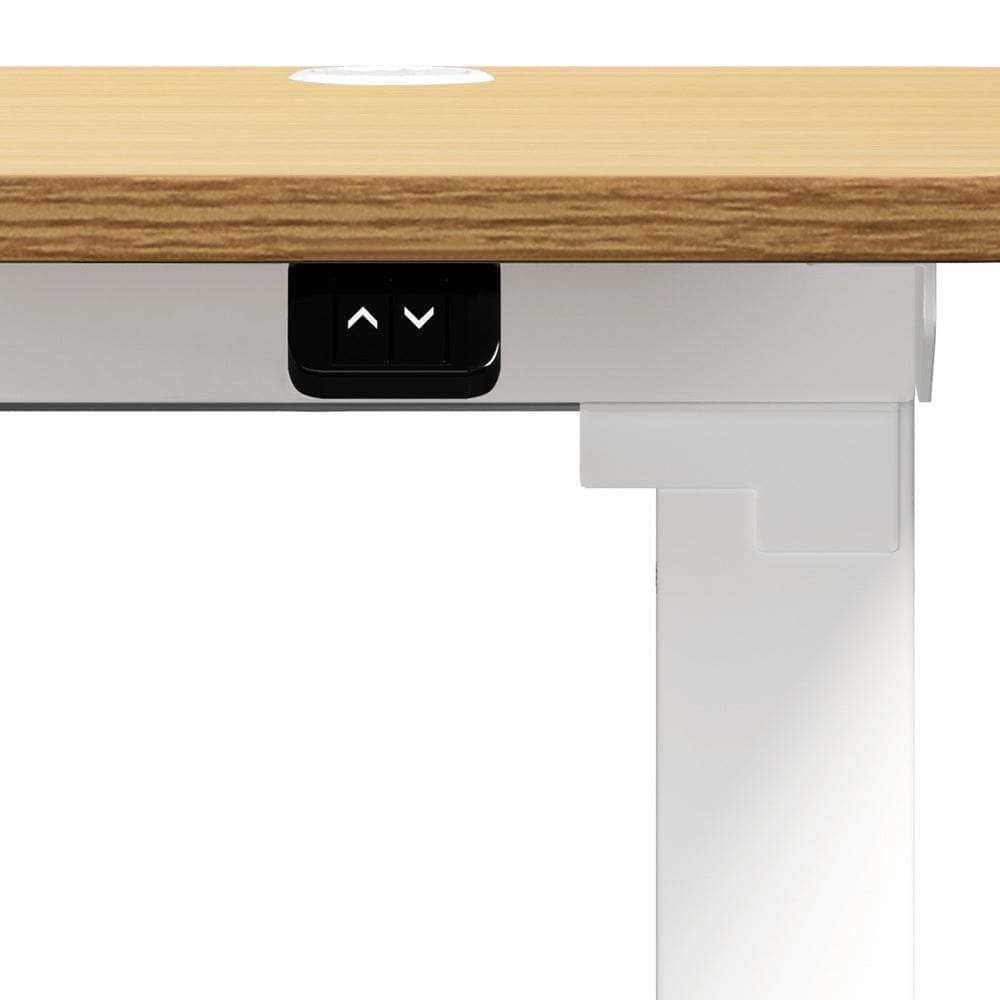 150cm Electric Standing Desk with Drawer Adjustable Oak White Single & Dual Motar