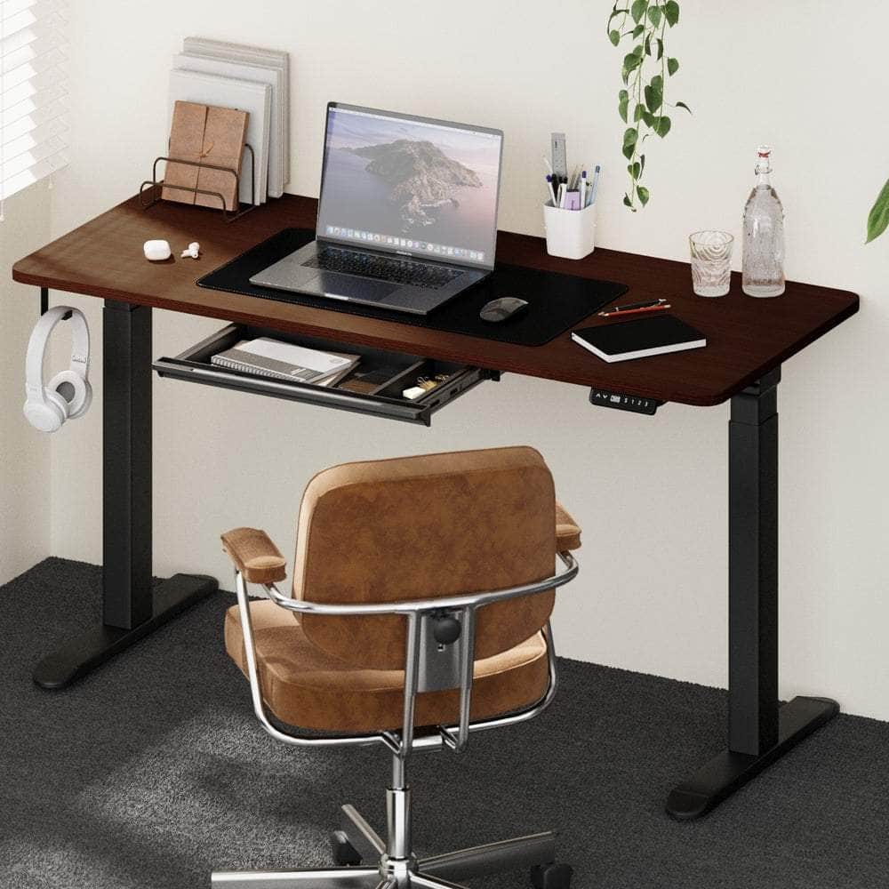 160cm Electric Standing Desk with Drawer Adjustable Black Walnut