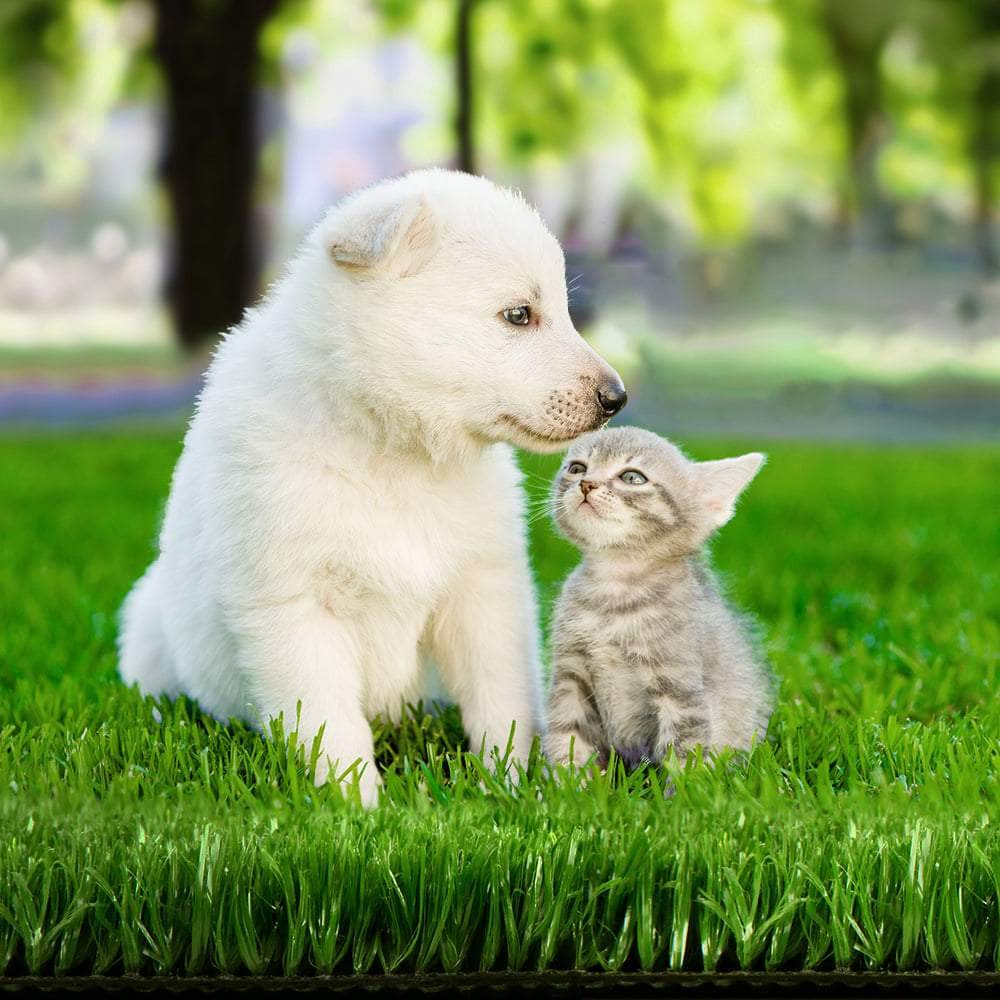 1X20M Artificial Grass Synthetic Fake 20Sqm Turf Lawn 17Mm Tape