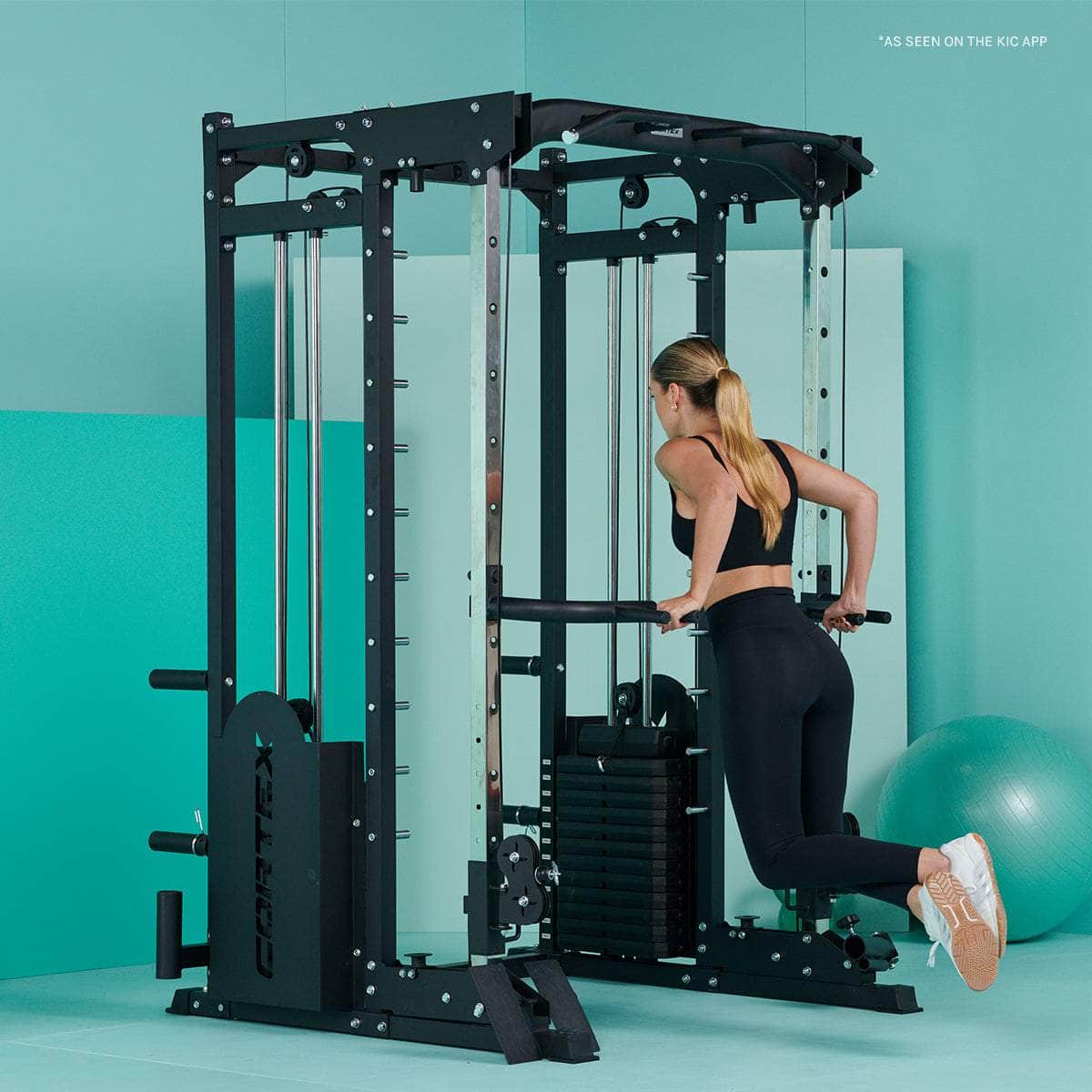 25 Multi Gym - Dual Stack Trainer, Smith Machine, Half Rack