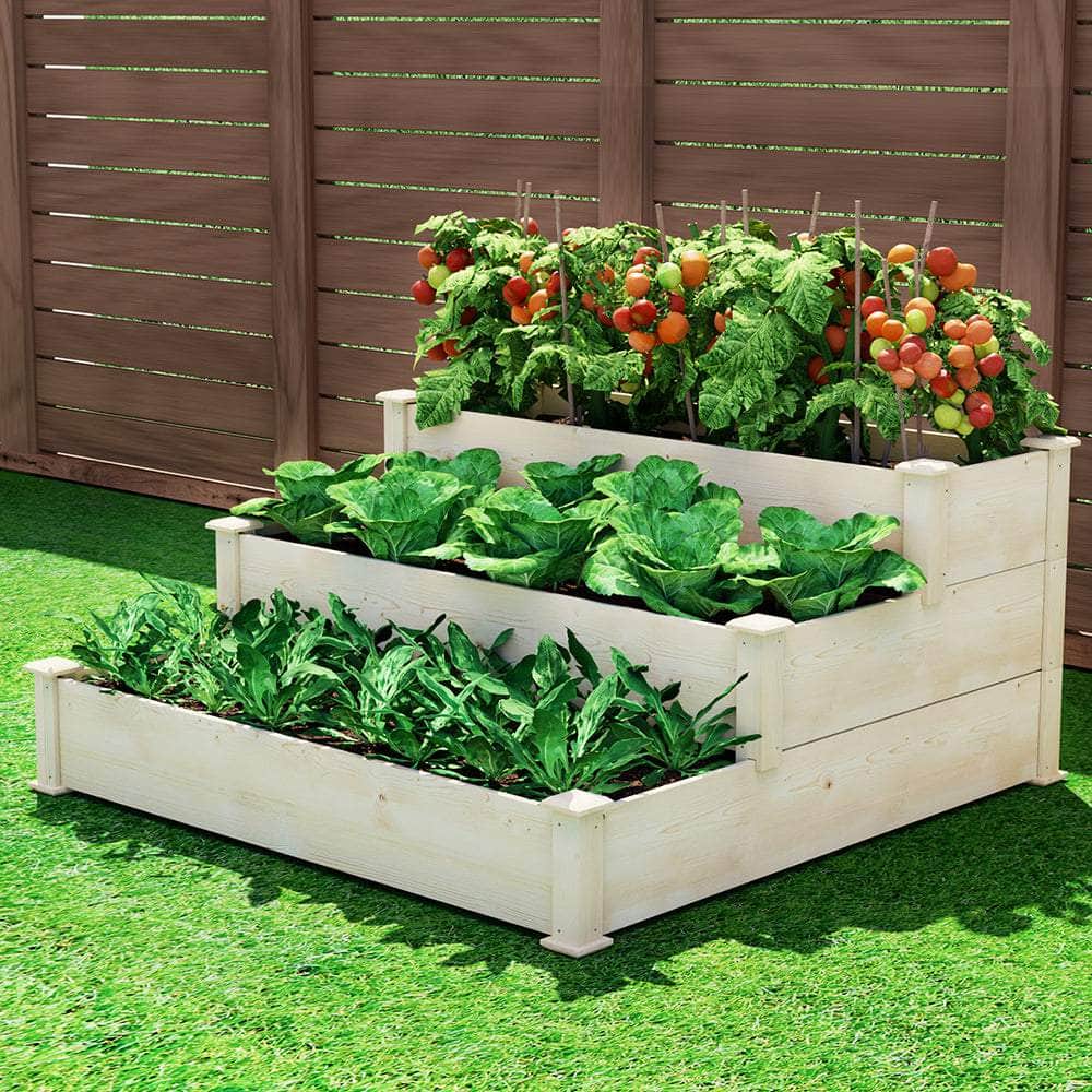 Ground Vegetable