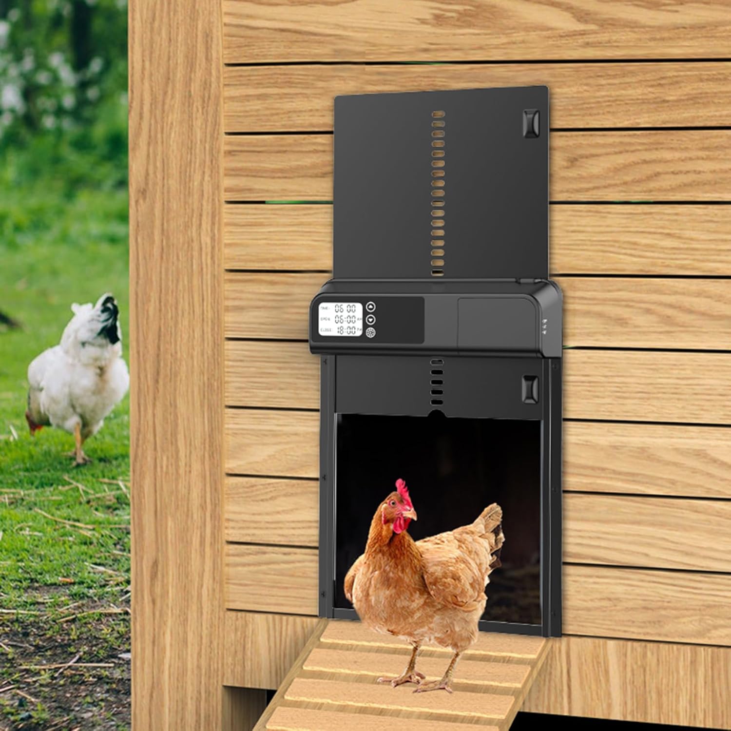 Waterproof Coops - CARLA HOME Automatic Chicken Coop Door With Timer & LCD Screen, Anti-Pinch Safety, Easy Battery Operation & Weatherproof For Outdoor 32x4x25cm