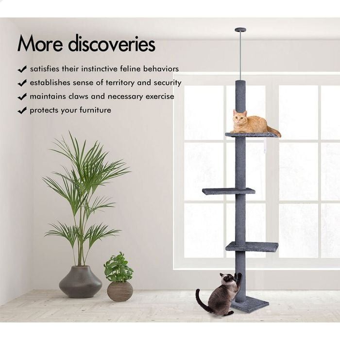 Cat Tree Tower Adjustable Height 43x230x27cm