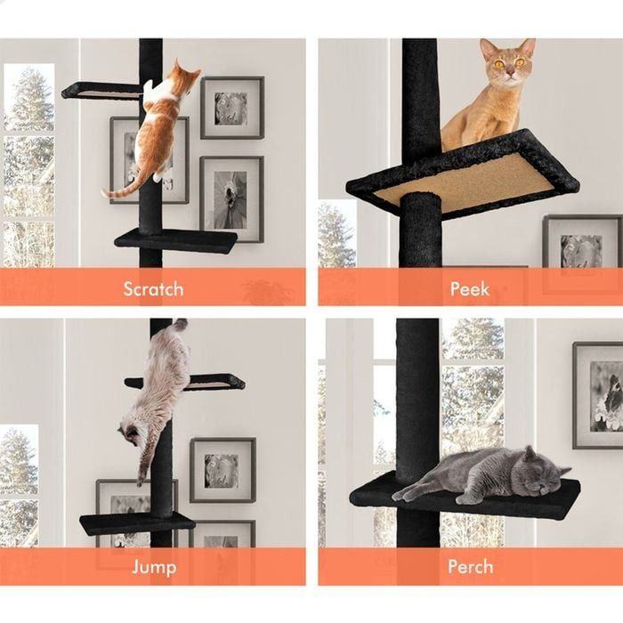 Floor Cat Tree Tower Adjustable 43x230x27cm