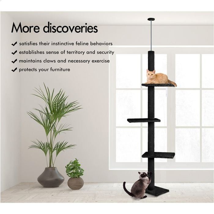 Floor Cat Tree Tower Adjustable 43x230x27cm