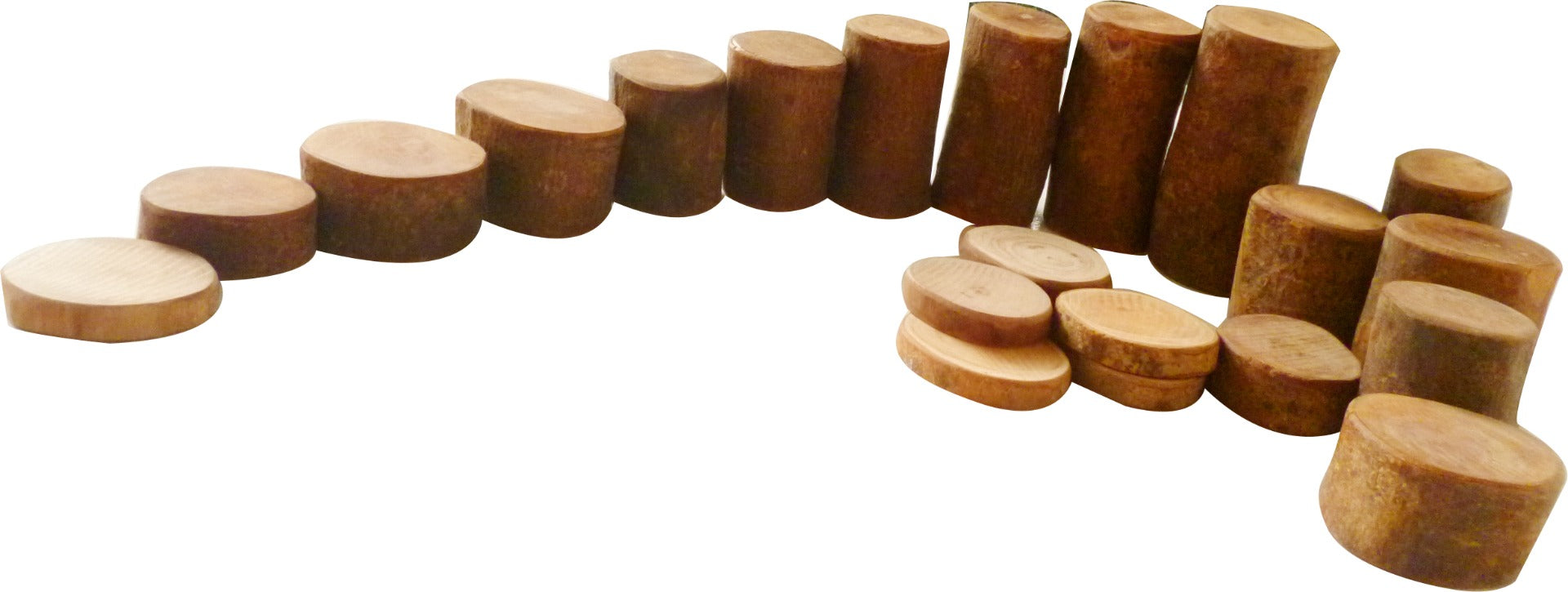 Tree Counting Set 70 Pcs