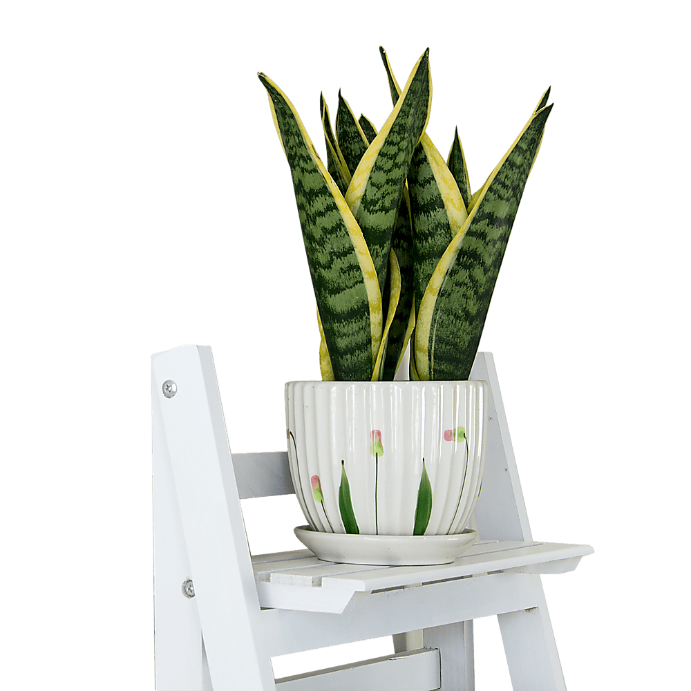 5 Tier Wooden Ladder Shelf Stand Storage Book Shelves Shelving