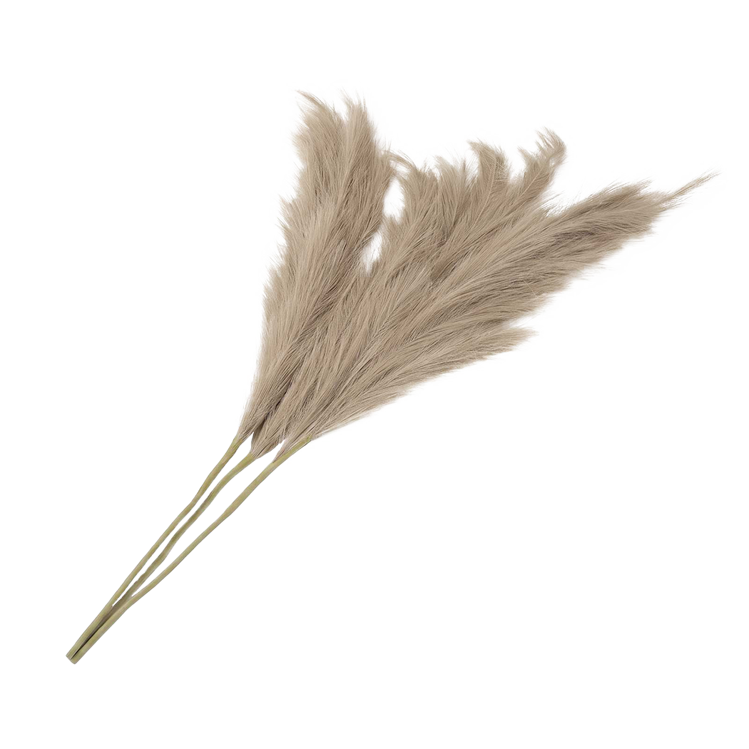 Artificial Pampas Grass Brown 3Pcs
