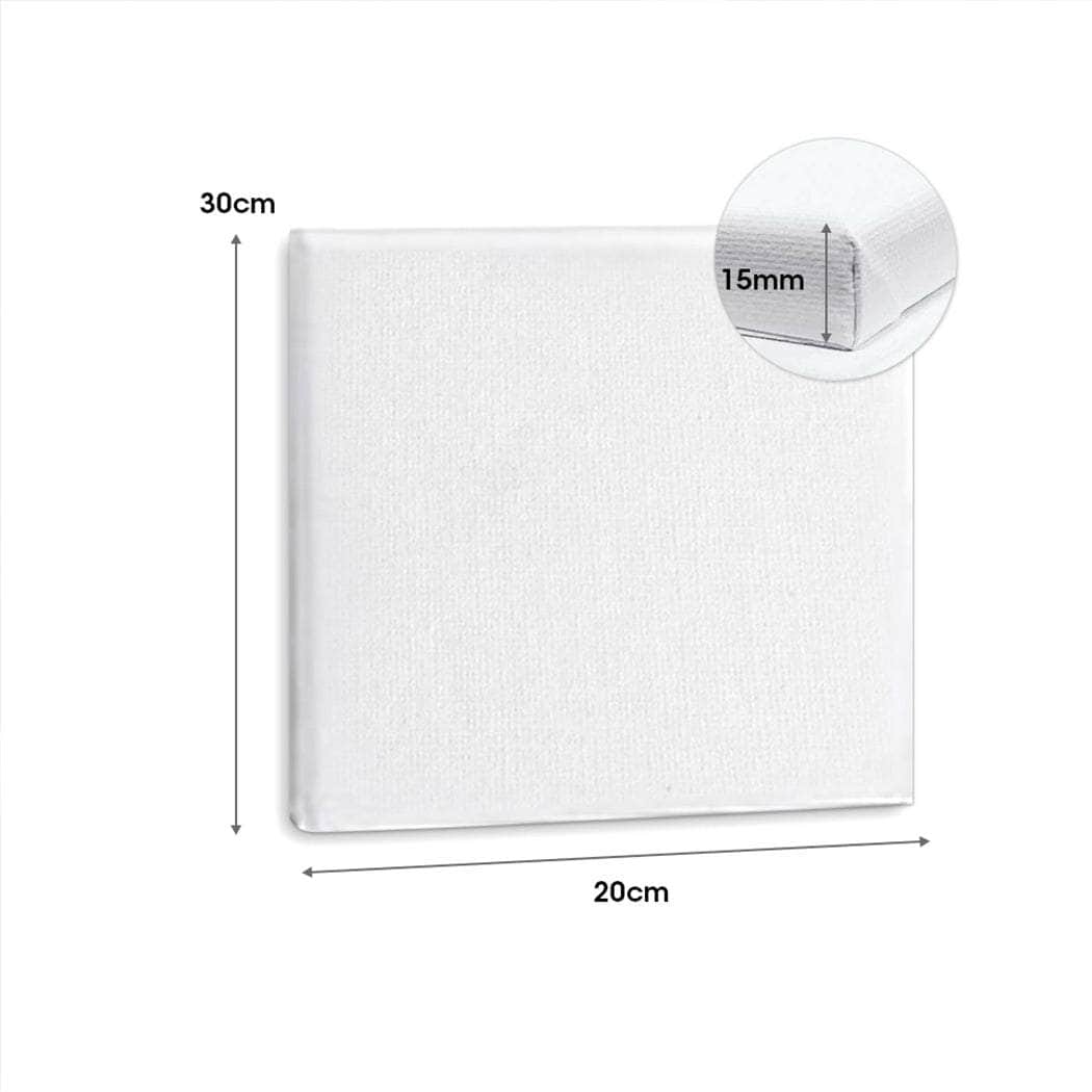 5x Artist Canvas Blank Stretched - Canvases