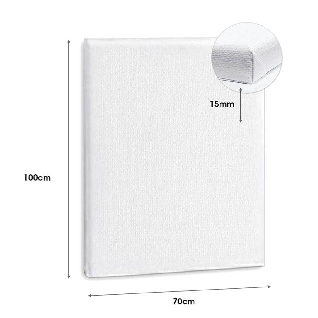 5x Artist Canvas Blank Stretched Canvases