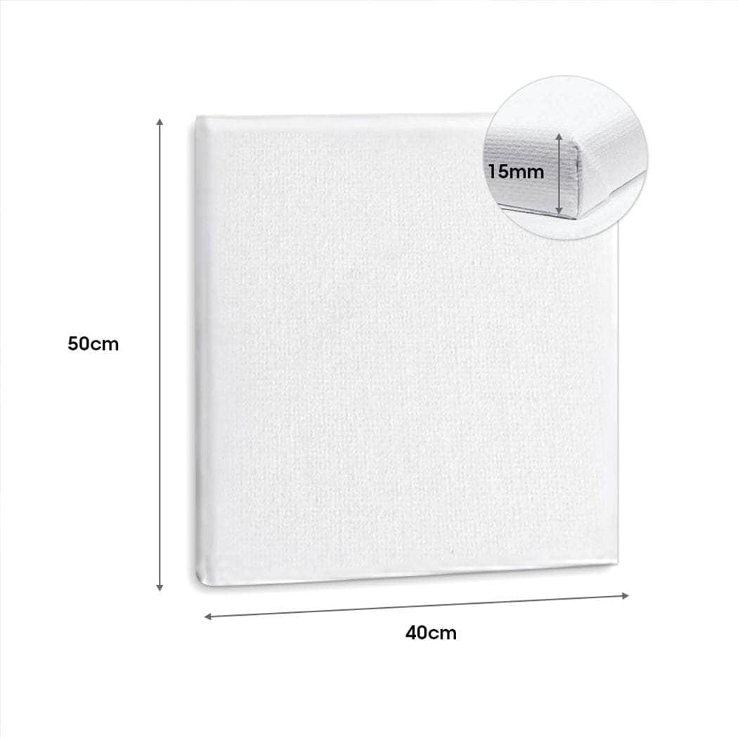 5x Artist Canvas Blank Stretched Canvases-Durable