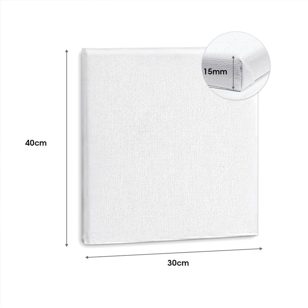 5x Artist Canvas Blank Stretched Canvases-Stylish
