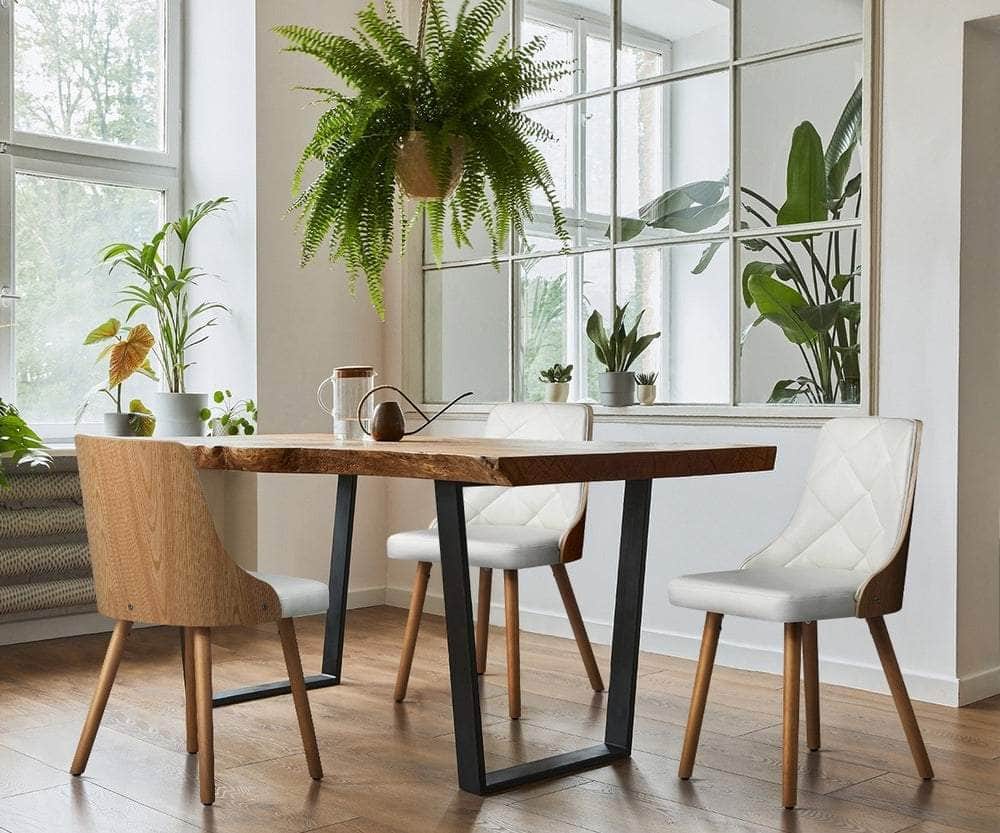 6x Wooden Dining Chairs with White Leather Padded Seats for Dining Room