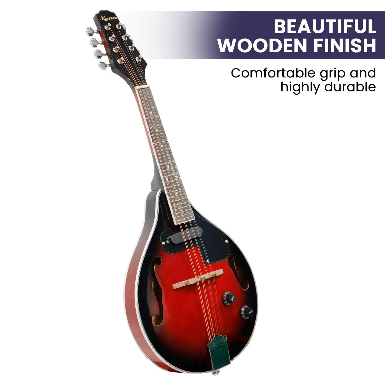8-String Electric Mandolin with music other