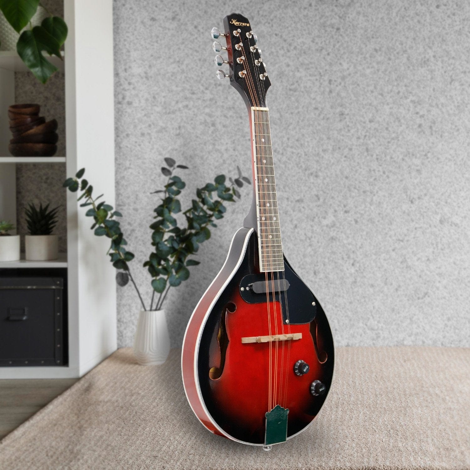 8-String Electric Mandolin