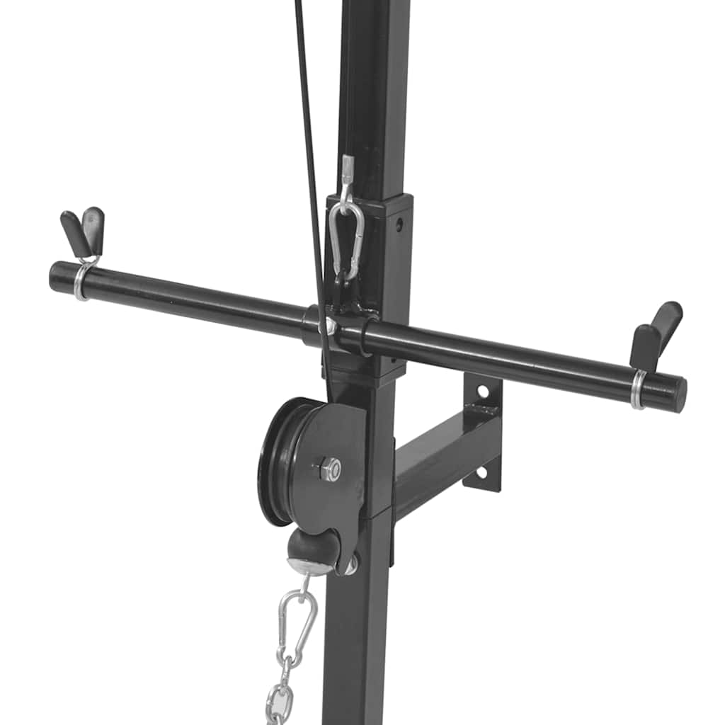 Wall-mounted Home Gym with 2 Pulleys with Push-Up & Pull-Up Bars