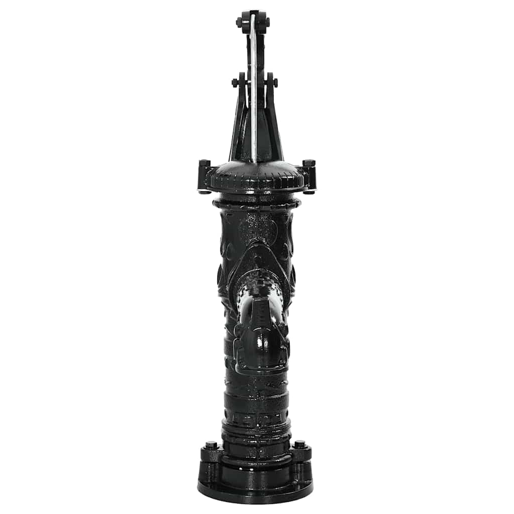 Garden Hand Water Pump Cast Iron | Well Pumps & Systems