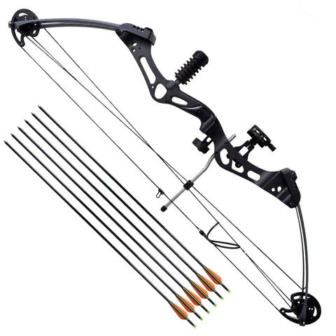 Compound Bow with Accessories and Fiberglass Arrows