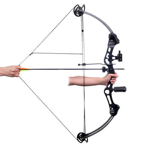 Compound Bow with Accessories and Fiberglass Arrows