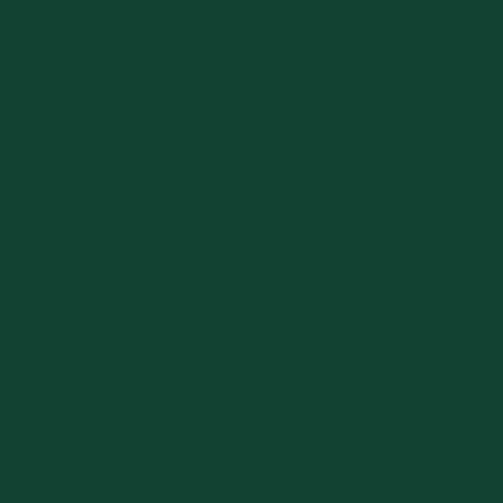 Garden Shed Galvanised Steel Green