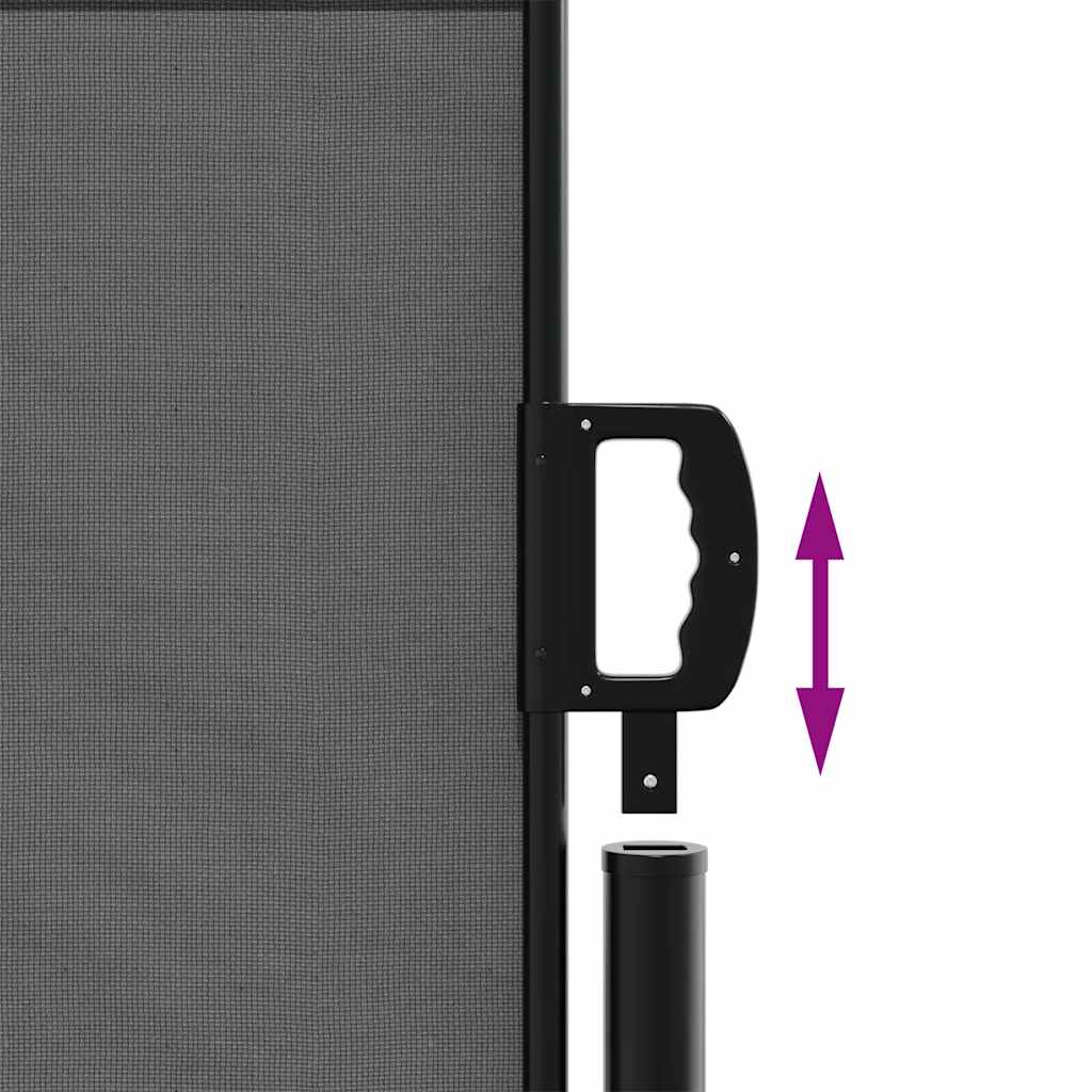Retractable Side Awning 100x300cm Anthracite | Simpledeals