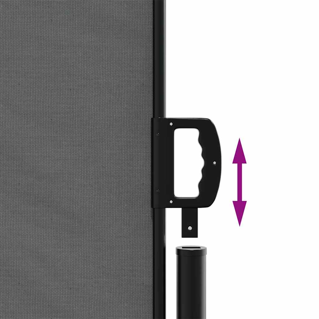 Retractable Side Awning 220x500cm Anthracite | Simpledeals