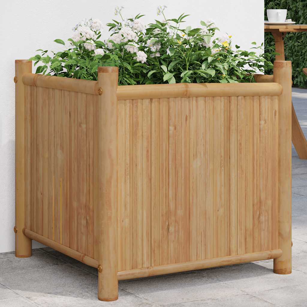Planter Bamboo - Pots & Planters