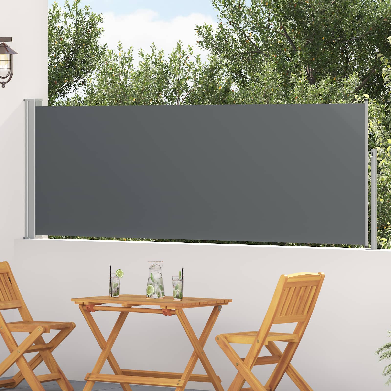 Retractable Side Awning Anthracite 300x100cm | Simpledeals