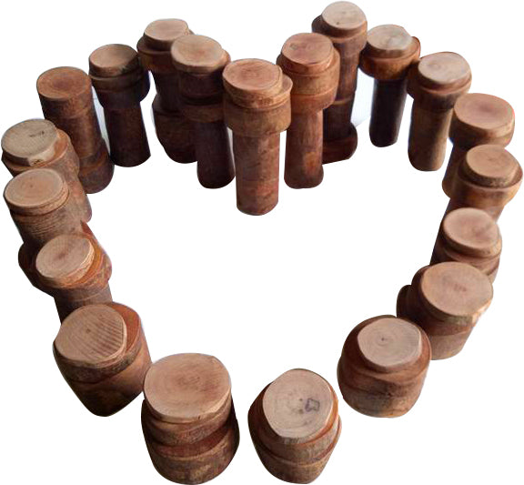 Tree Counting Set 70 Pcs