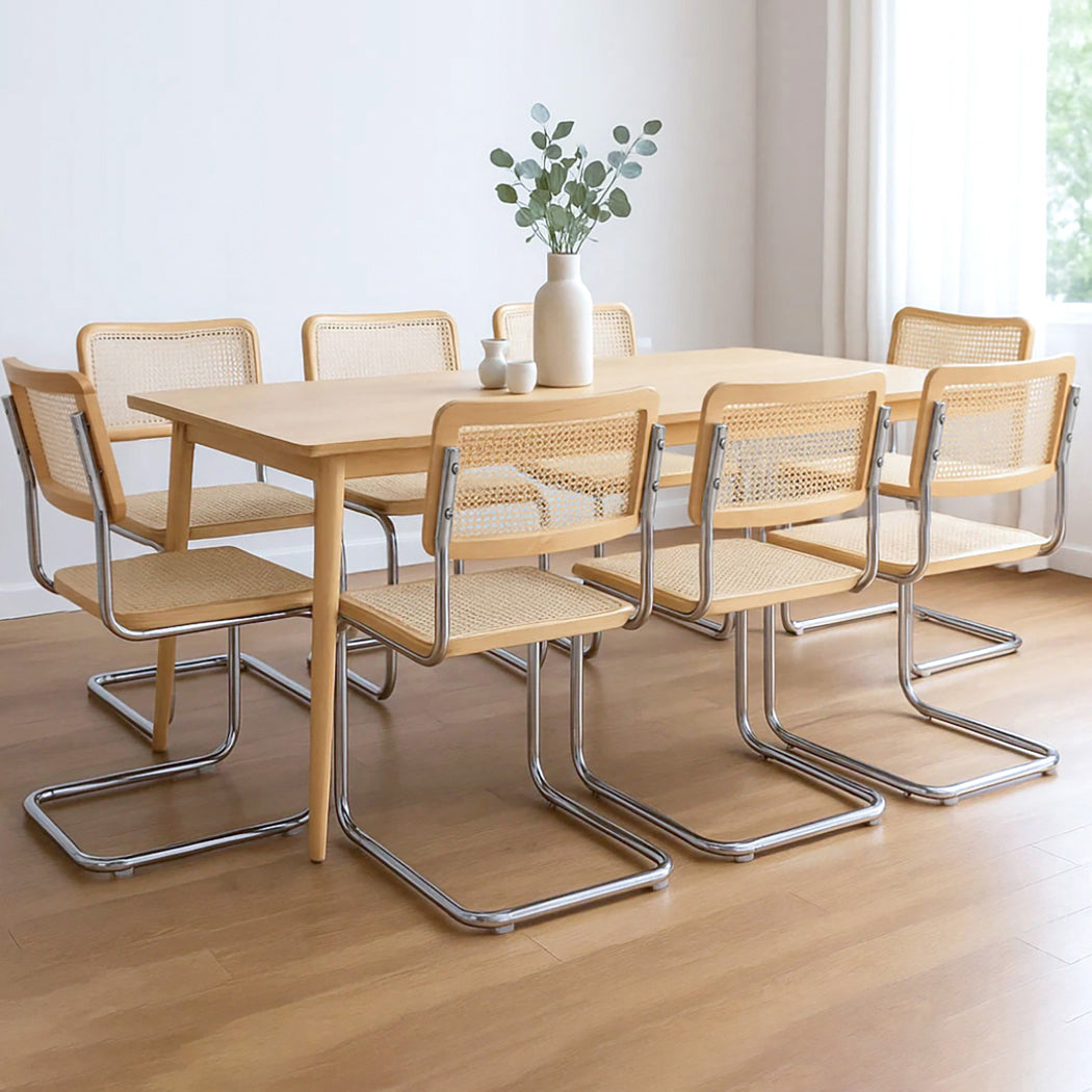 Cozy 8x Rattan Chair Dining Chairs  Scandi Inspired Design Classic
