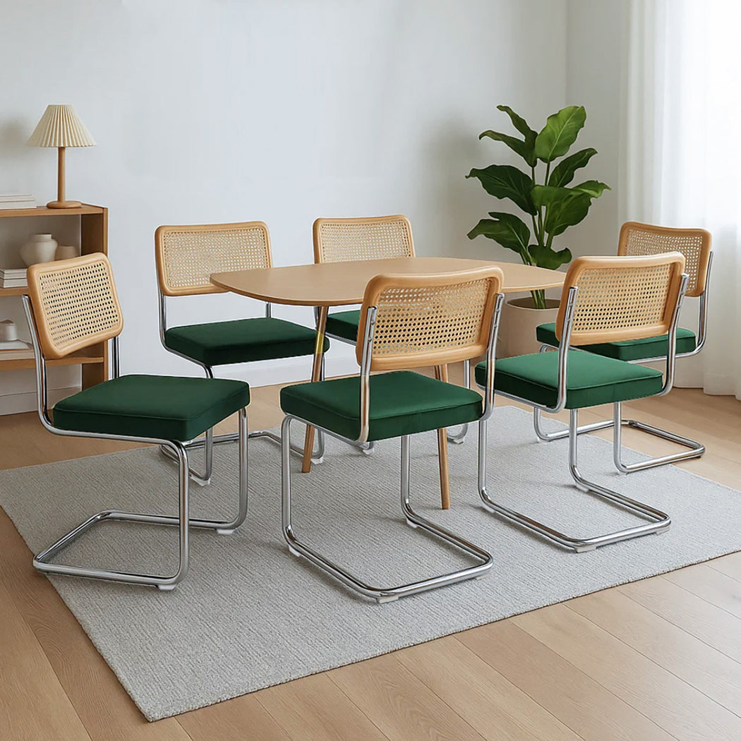 Stylish 6xRattan Chair Dining Chairs  Wood Finish Classic Durable