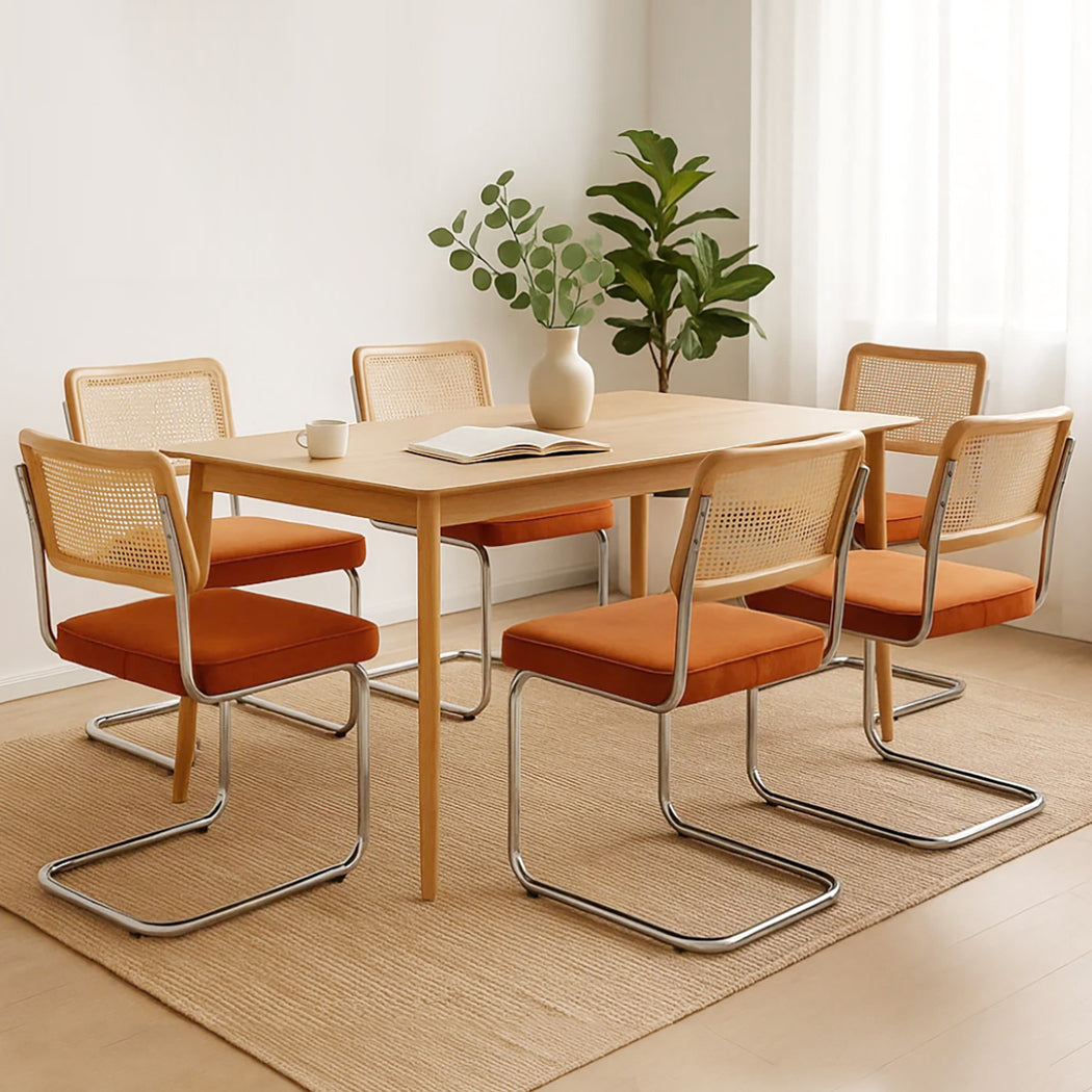 Minimalist 6xRattan Chair Dining Chairs  Multipurpose Use Classic