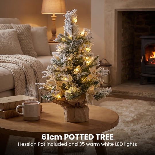 Frosted Christmas 3pc Set