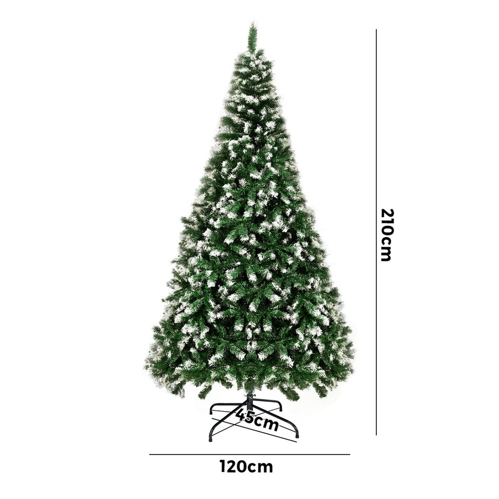 Christmas Tree Xmas Trees Snowy Decorations Green