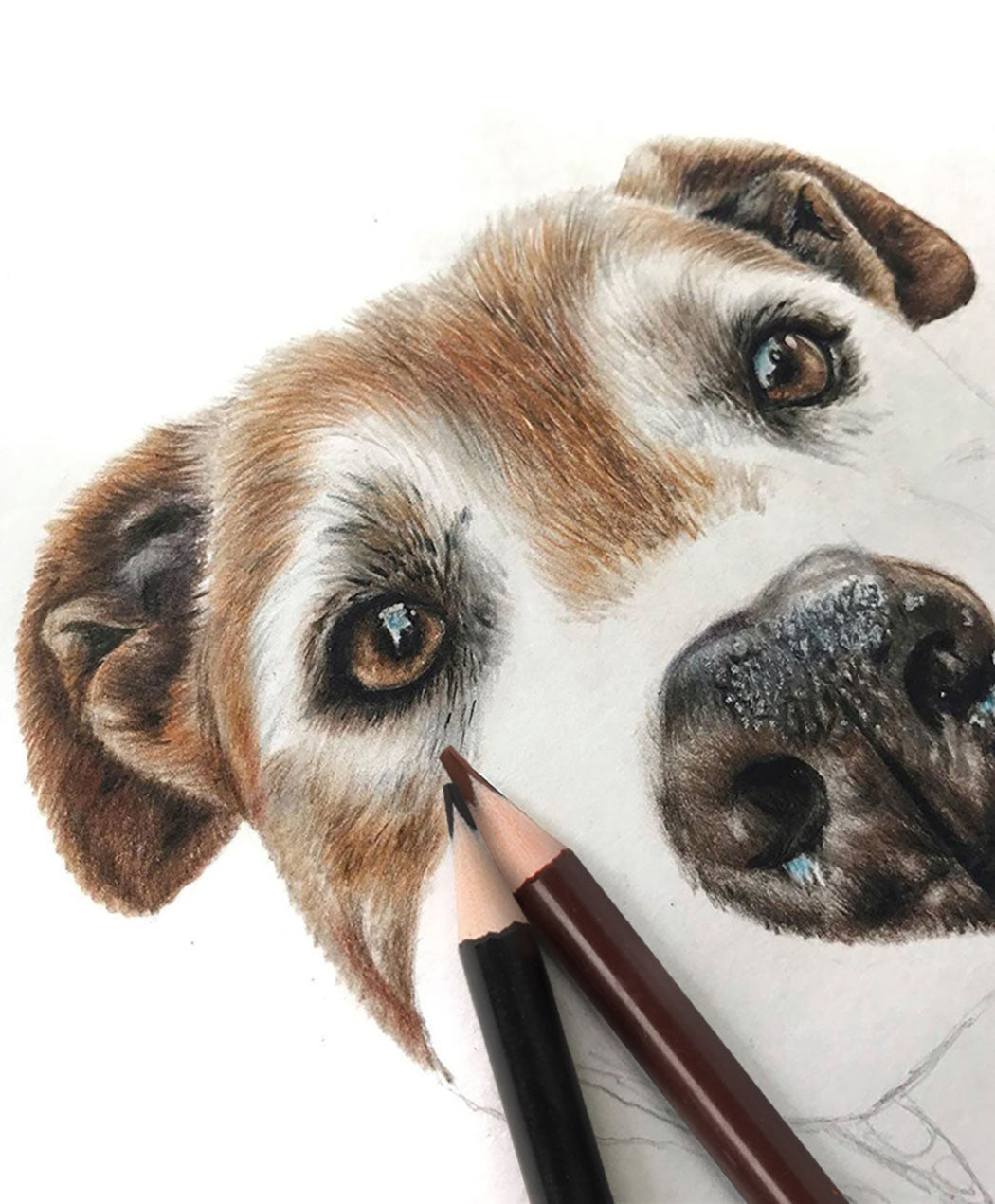Erasable Color Pencil with Eraser