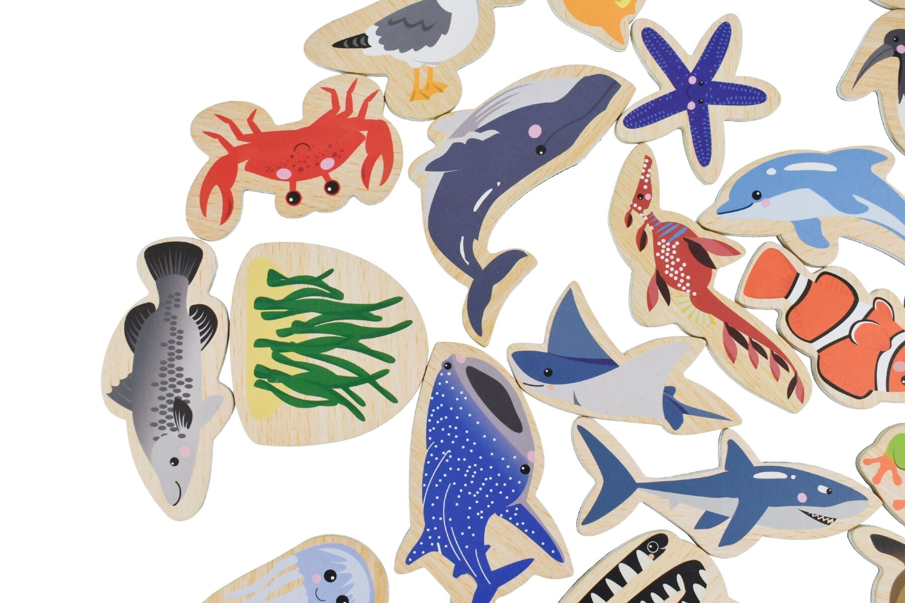 Magnetic Sea Animals Set Educational 12.5x5x16.5cm