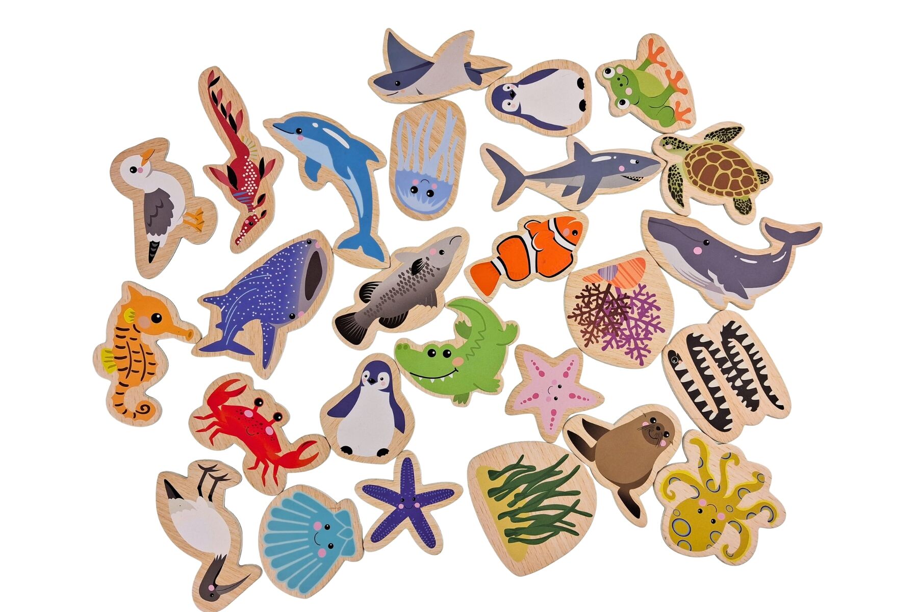 Magnetic Sea Animals Set Educational 12.5x5x16.5cm
