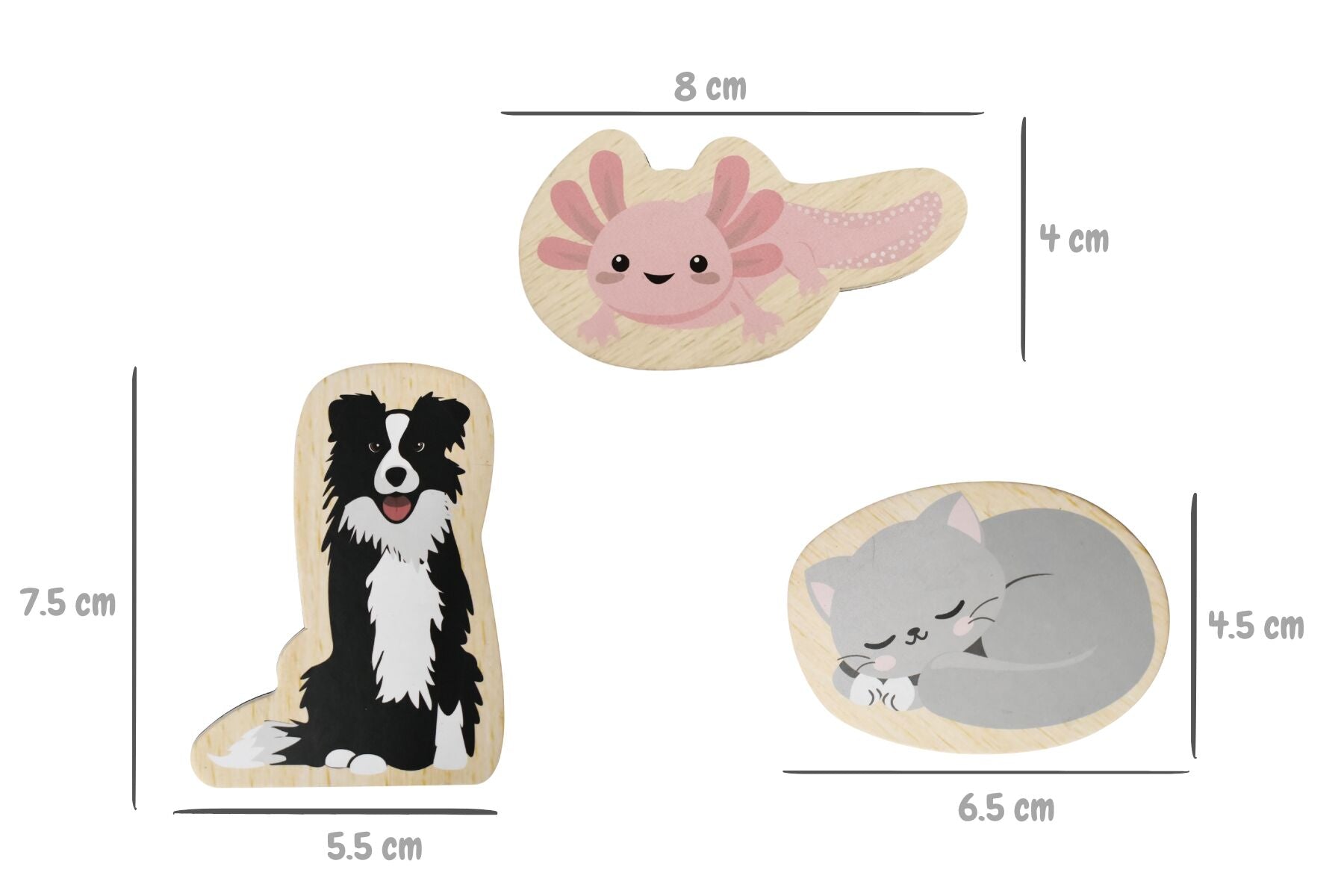 Magnetic Pet Set Educational 12.5x5.5x16.5cm