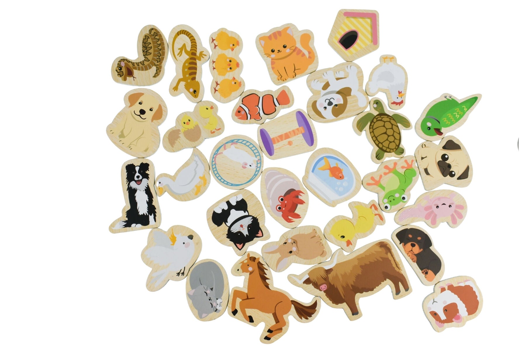 Magnetic Pet Set Educational 12.5x5.5x16.5cm